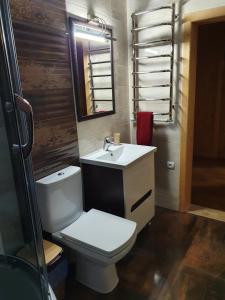 a bathroom with a toilet and a sink and a mirror at Котедж Два Леви in Slavske +19 photos