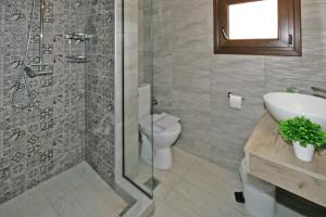 a bathroom with a shower and a toilet and a sink at Villa Angela in Vourvourou