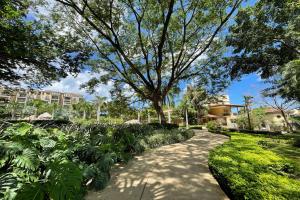 einen Weg durch einen Park mit einem Baum und Pflanzen in der Unterkunft Hotel Tamarindo Diria Beach Resort in Tamarindo