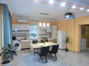 a kitchen with a table and chairs in a room at Pilis Apartman in Piliscsaba