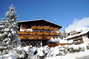 圣马蒂诺-迪卡斯特罗扎Hotel Cristallo的一座被雪覆盖的建筑,上面有圣诞树