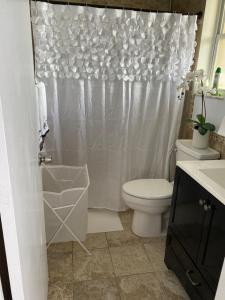 a bathroom with a toilet and a shower curtain at elegant room in Tamiami