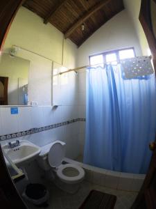 baño con aseo y lavamanos con cortina de ducha azul en Le Petit Jardin, en Baños