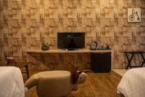 TV a/nebo společenská místnost v ubytování Yesday B&B