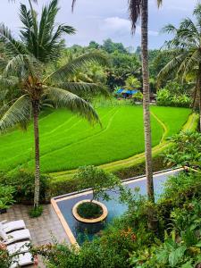 uitzicht op een tuin met palmbomen en een zwembad bij Umasari Rice Terrace Villa in Tabanan