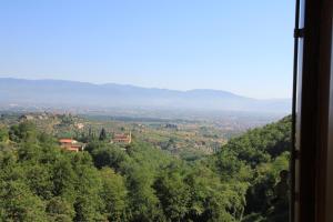 a view of a valley with trees and buildings at Gli Arancini in Quarrata