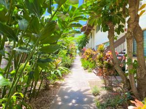 En trädgård utanför Waiohuli Beach Hale D227 - Aloha La'i - Oceanfront/1b1b/Wifi/AC/Cable/Pool/Extras