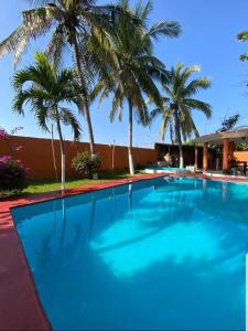 una gran piscina azul con palmeras en el fondo en Casa de Playa Coco'z, en Coyuca de Benítez