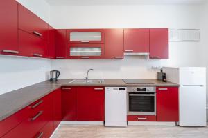 Kuchyň nebo kuchyňský kout v ubytování Apartment Yogiam