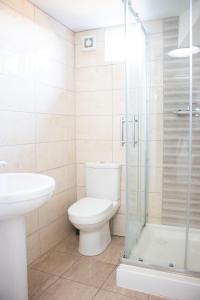 a bathroom with a toilet and a sink and a shower at Town Centre Apartment with FREE Parking in Loughborough
