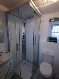 un bagno con doccia, WC e lavandino di Ferienwohnung Riedbach a Innsbruck