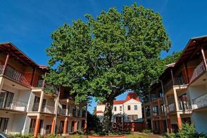Budova, v ktorej sa ubytovanie bed & breakfast nachádza