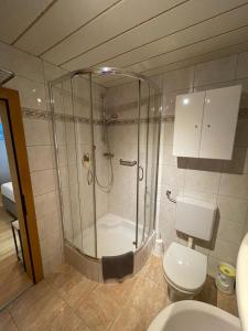 La salle de bains est pourvue d'une douche et de toilettes. dans l'établissement Apart MARO, à Längenfeld