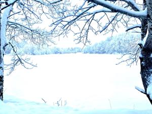 a snow covered lake with a tree in the foreground at Grand Wellness Novahovo Hotel & Spa in Nikol'skoye-Uryupino