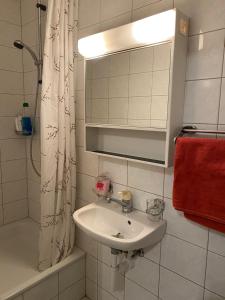 a bathroom with a sink and a shower and a mirror at Apartment im Herzen von Bremgarten in Bremgarten
