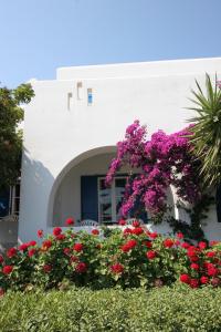 a garden of flowers in front of a building at Silver Rocks Hotel in Chrissi Akti