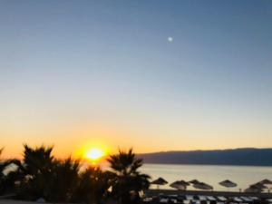 a sunset over a beach with palm trees and the ocean at AFYTOS ÖREN PARK MTK in Burhaniye