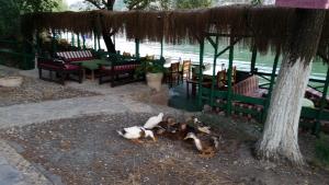 Fotografie z fotogalerie ubytování Hotel Riverside v destinaci Dalyan