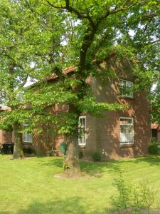 ein Backsteinhaus mit einem Baum davor in der Unterkunft Vakantiewoning Boerderij De Gerrithoeve in Oisterwijk