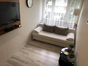 Apartament Datini, 40 m2 في كاليش: غرفة معيشة مع أريكة وتلفزيون