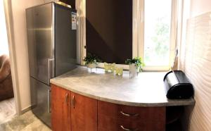 cocina con nevera de acero inoxidable y ventana en Apartament Datini, 40 m2 en Kalisz