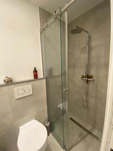 La salle de bains est pourvue d'une douche en verre et de toilettes. dans l'établissement EM home01, à Cattolica