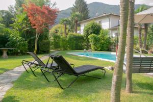 duas cadeiras e uma palmeira ao lado de uma piscina em Villa Michelangelo - WelcHome em Cannobio