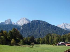a green field with mountains in the background at Ferienwohnungen Schwöblehen in Schönau am Königssee