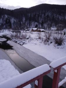 Příroda nedaleko apartmánu