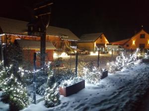 Afbeelding uit fotogalerij van Drewniany Domek Daria i Tomek 2 domki na 8 osób in Stronie Śląskie