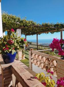 een tuin met bloemen en een pergola bij Casa Rural Las Molina in Frigiliana