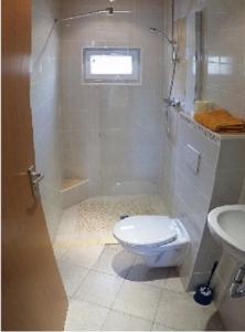 a bathroom with a toilet and a shower and a sink at Ferienzimmer *Auszeit* in Sassnitz