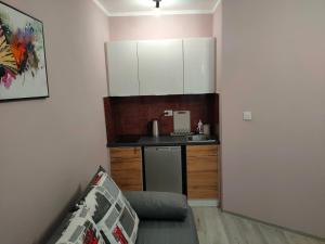 eine kleine Küche mit einem Waschbecken und einem Sofa in einem Zimmer in der Unterkunft Apartamenty Daola in Danzig