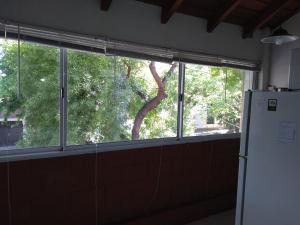 a window in a kitchen with a tree outside at Departamento turista in Mendoza