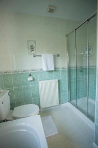 uma casa de banho com um WC e um chuveiro em Pant-Y-Celyn Studio Apartment em Aberaeron