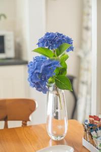 a vase with blue flowers in it on a table at Pant-Y-Celyn Studio Apartment in Aberaeron