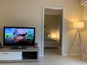 uma televisão de ecrã plano numa sala de estar em Budapest Hideout in Style with free parking - Luxury Apartment em Budapeste