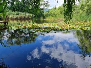 Afbeelding uit fotogalerij van Cozy wooden house in Buzau