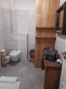 a bathroom with a toilet and a sink at RV apartmán Mikulov in Mikulov