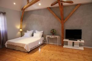 a bedroom with a bed and a flat screen tv at A la Fleur de Lys in Langeais