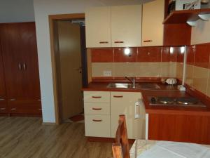 Kuchyň nebo kuchyňský kout v ubytování Apartments Sanja