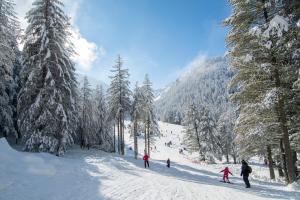 un grupo de personas esquiando por una pista cubierta de nieve en Hotel Malyovitsa, en Govedartsi