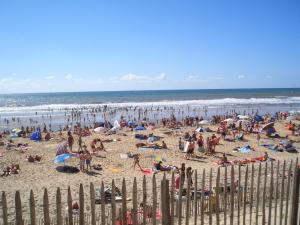a large group of people on a beach at Hotel Les Pins in Hourtin