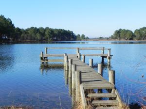 a wooden dock in the middle of a lake at Hotel Les Pins in Hourtin