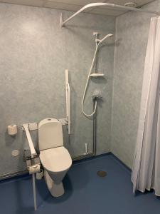 a bathroom with a toilet and a shower at Broholm Bed&Breakfast in Lidköping