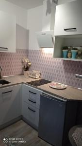 Η κουζίνα ή μικρή κουζίνα στο Mały Apartamencik Teo
