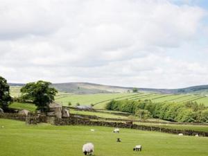 a grassy field with a herd of sheep grazing at Leeming Wells in Haworth