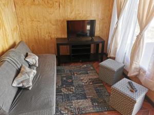 uma sala de estar com um sofá e uma televisão em La Posada em Neltume