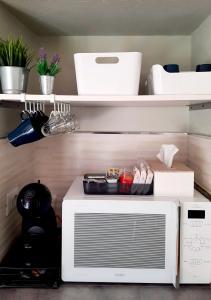 a kitchen with a white microwave and some shelves at STONE in Crodo