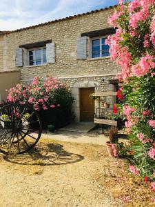 Gallery image of Manade des Baumelles in Saintes-Maries-de-la-Mer